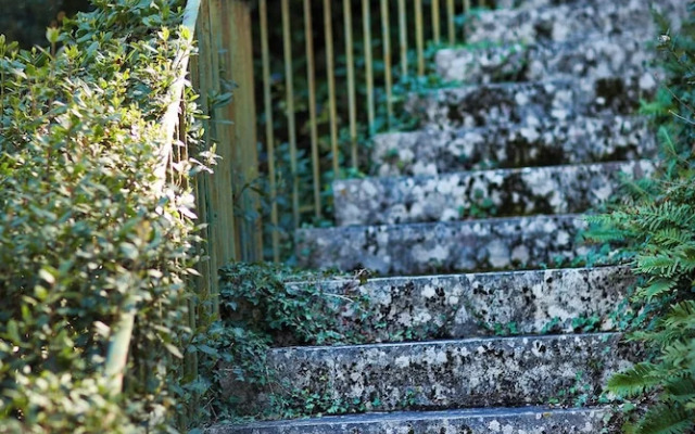 Ferme Saint-Georges en Provence