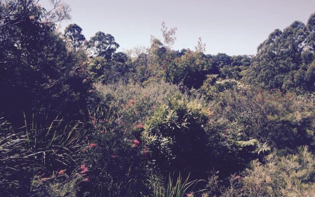 Tallaringa Views