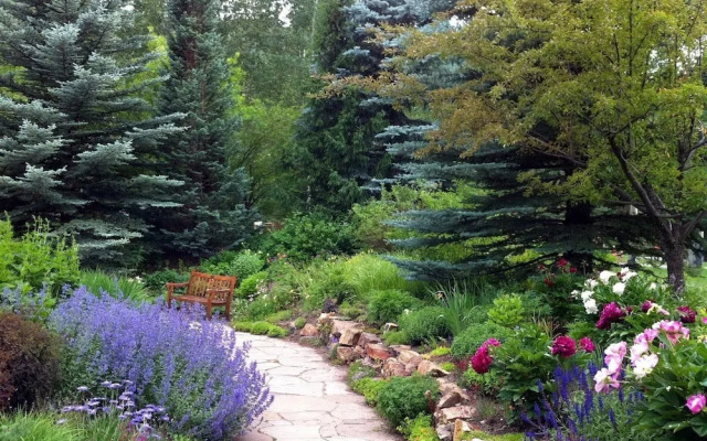 Vail Village Golden Peak Studio Condo