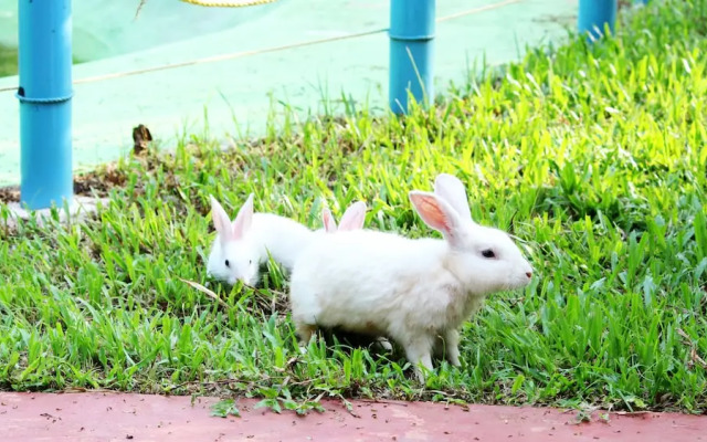 True Blue Beach Resort,Trivandrum