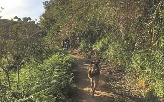 Romantic Private Cabin