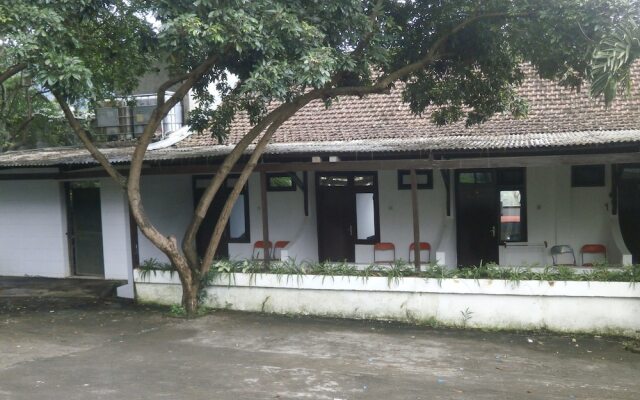 Cahaya Bukit Cemara