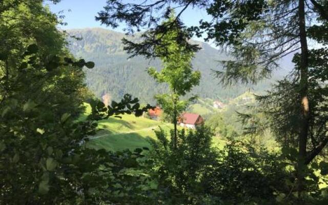 Mountain Lodge Petrovo Brdo