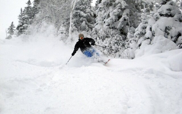 Отель Deer Lake Horizon 