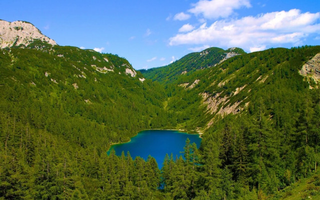 Appartements-Restaurant Schwaiger