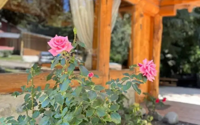 Natur Haus