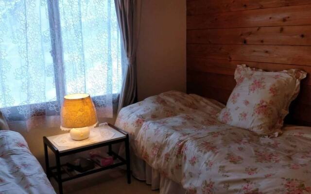 Pension Snowfall Meteor