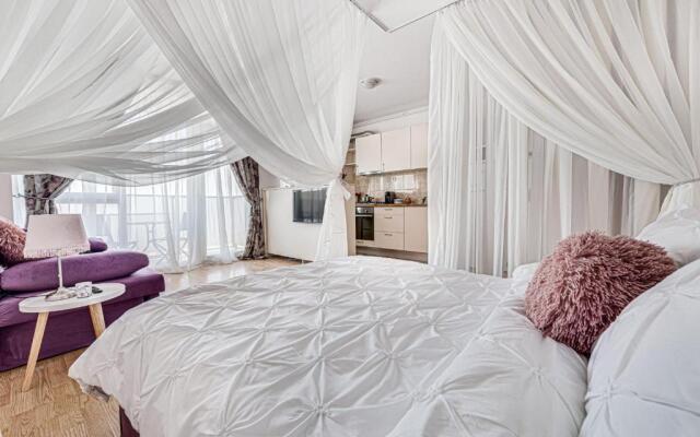 ARI Purple Studio