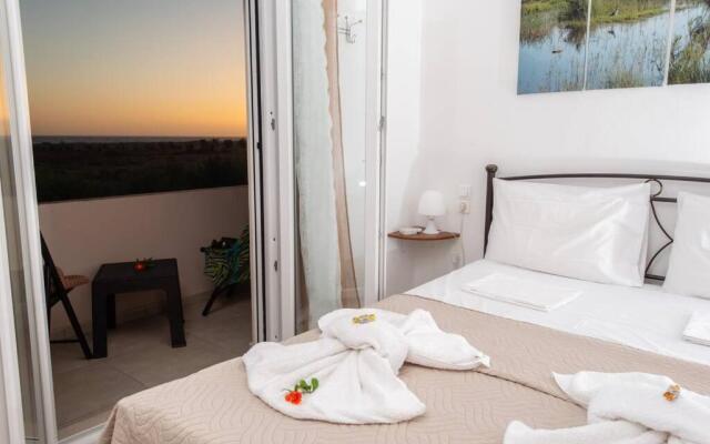 Afratias - private house at the beach