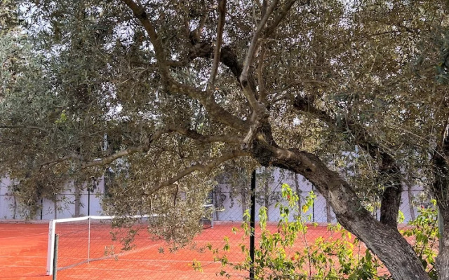 Nawara Residence