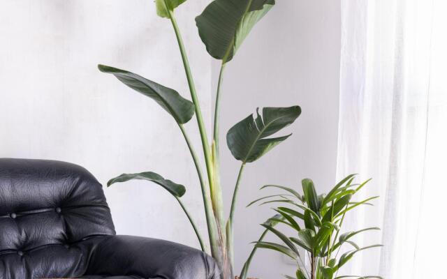 Home2Book Charming Center Apartment Santa Cruz