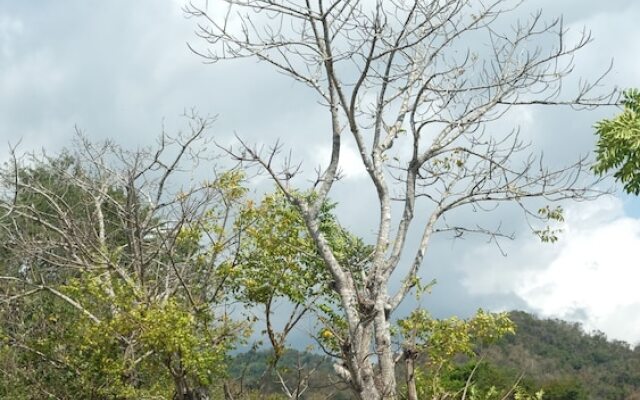 Raffles Inn Labuan Bajo