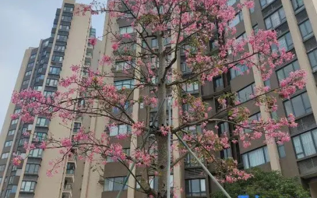 Zhuhai Yiyu Boutique Stay