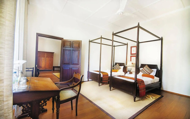 Dickoya by Zinc Journeys