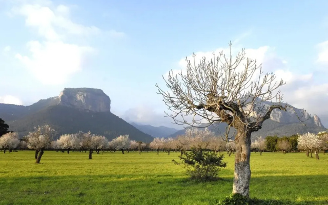 Alaró Natura Rural Suites