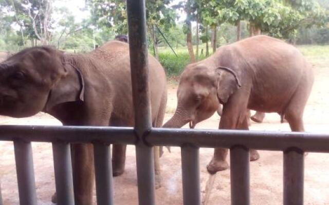 Domain Elephant Bungalow