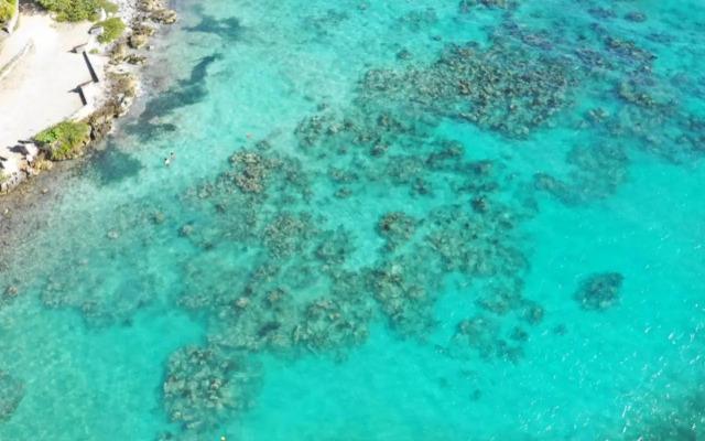 5 albercas Sanitizada Exclusiva Privada