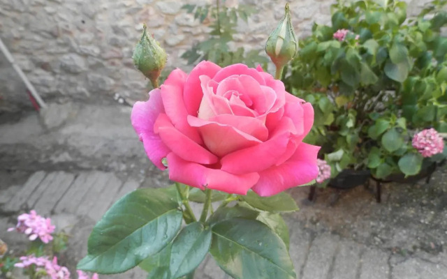 Residenza di Paese Castello del Poggio