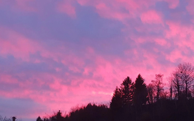 Ferienwohnung Rombachs Spatzennest