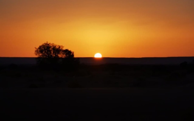 Riad Desert Camel