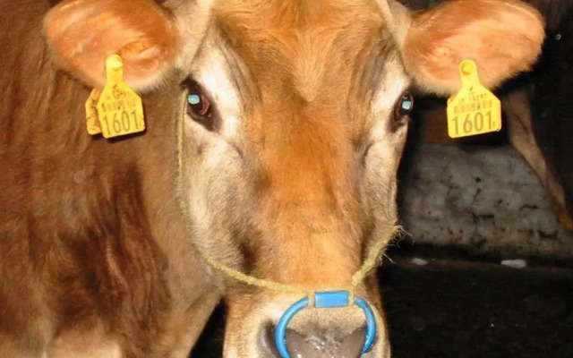 Pension Hobby Hakuba Norikura