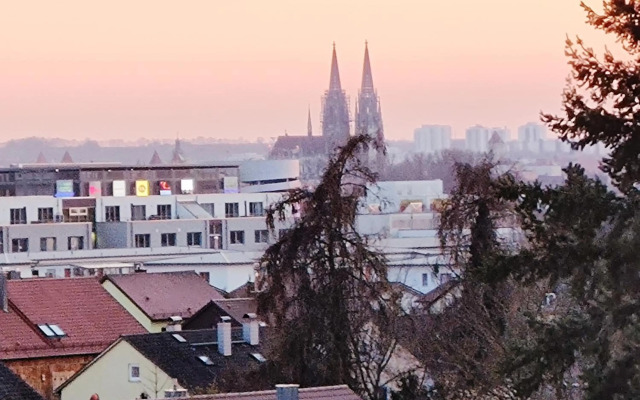 Domblick Regensburg