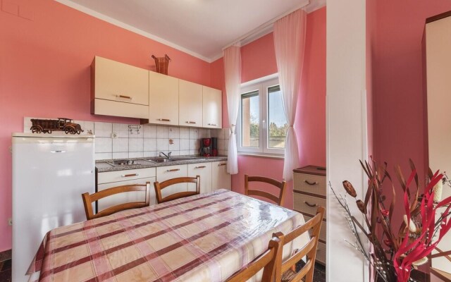 Stunning Home in Liznjan With Wifi and 1 Bedrooms