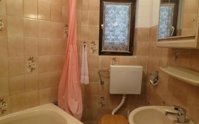 Apartment Branko