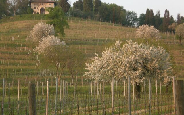 Agriturismo Colutta