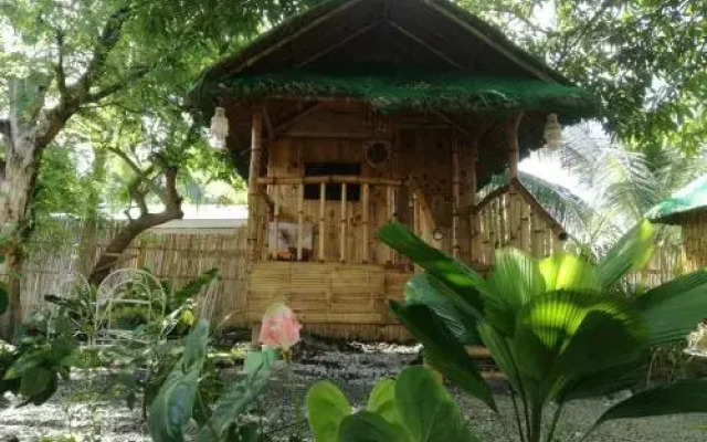 Moalboal Bamboo House / Rooms