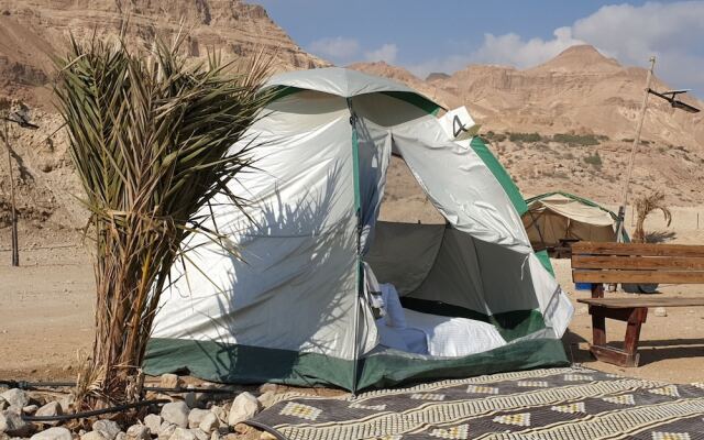 Dead Sea Camping קמפינג ים המלח