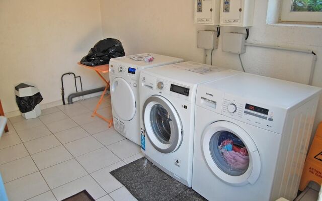 Cyprès du Paradis à Gordes