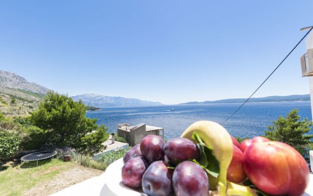 Apartments A Cappella Music Dalmatia