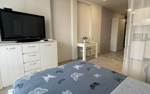 Studio apartment on Gaidara street 22