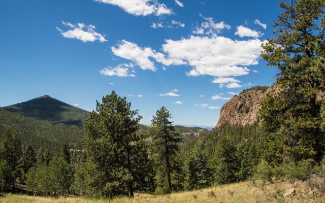 Secluded W/ Game Room & Huge Wraparound Deck 3 Bedroom Cabin
