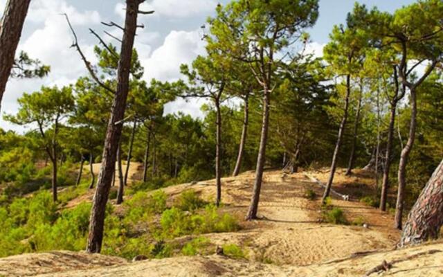 Maison Saint-Hilaire-de-Riez, 1 pièce, 2 personnes - FR-1-91-140
