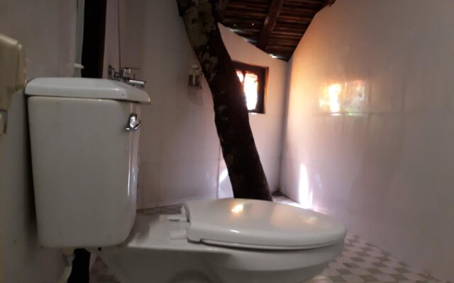 Thuy Bieu Homestay