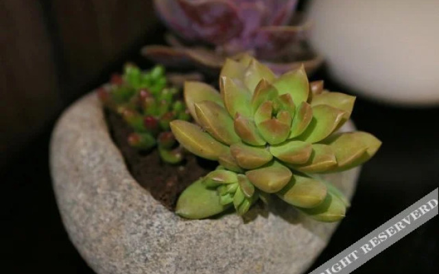 西湖隐庐酒店(杭州雷锋塔店)