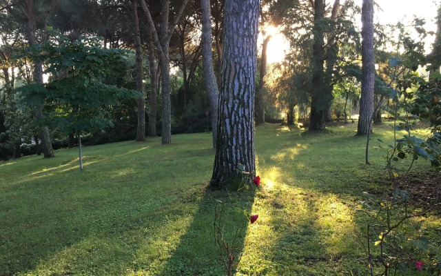 Villa Il Parco
