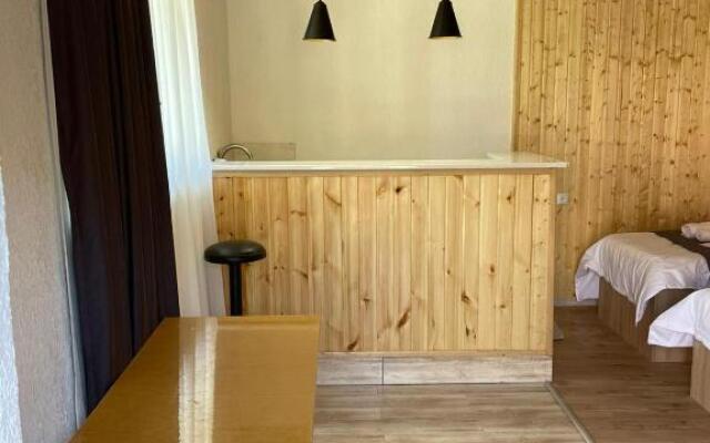 Apartament at Kazbegi