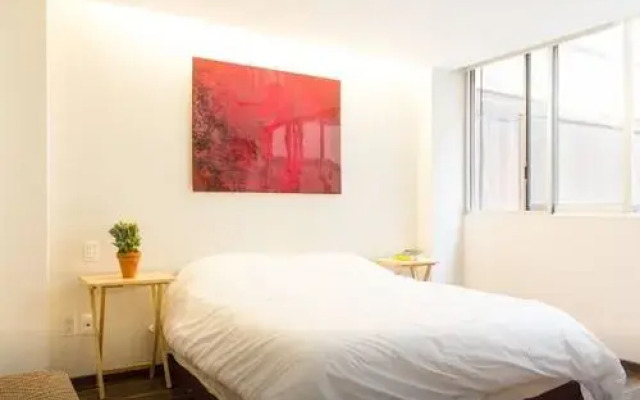 Luxury Polanco