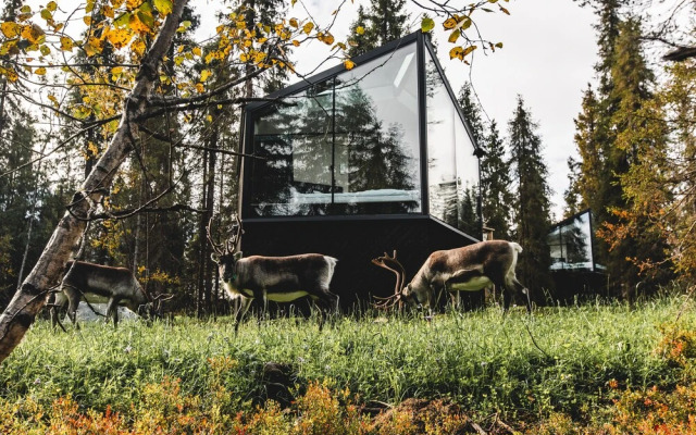 Magical Pond Nature Igloos