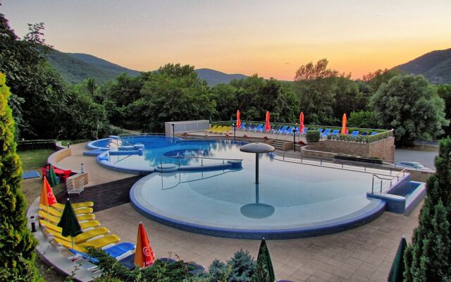 Thermal Hotel Visegrad