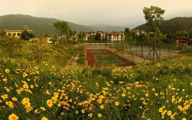 Mount Emei Qilingping Hot Spring Hotel