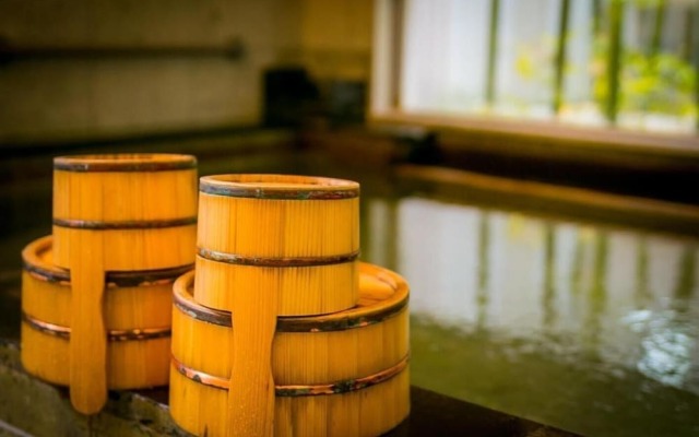 Super Hotel Natural Hot Springs Fuji