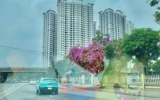 Chill Home - Chung Cư Tecco Elite City