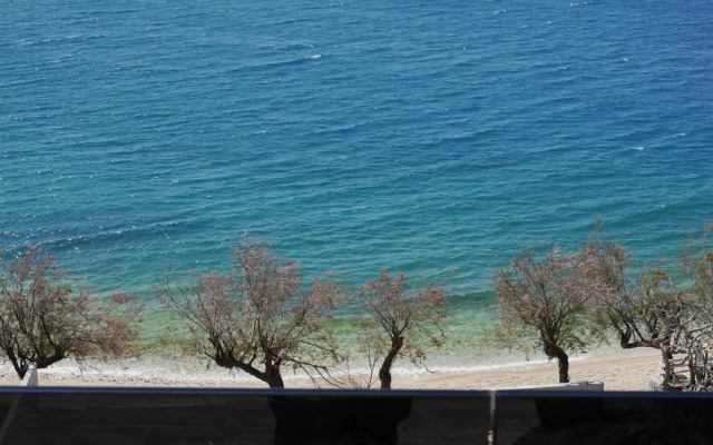 Luxury Apartments Beach