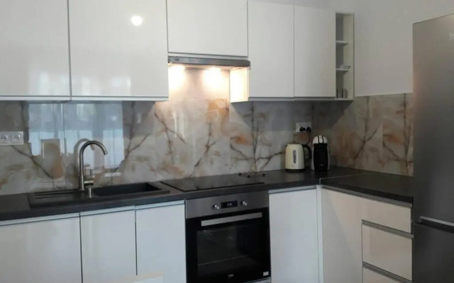 Lux Apartment close to Medicover and Paley