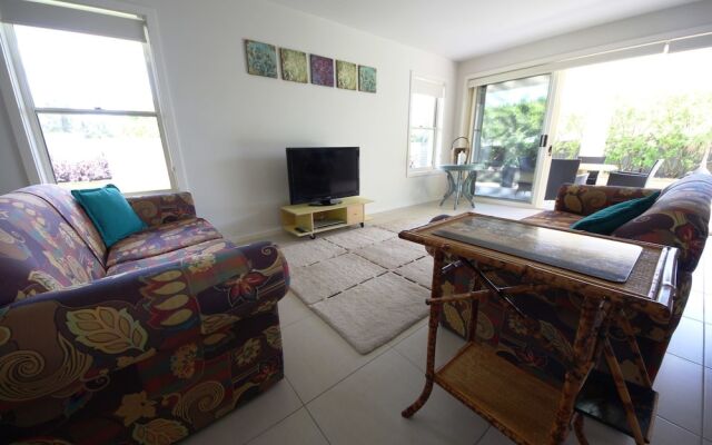 Geckos at South West Rocks