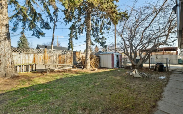 The Owl Petsok 3 Queenbd Firepit 3smarttvs